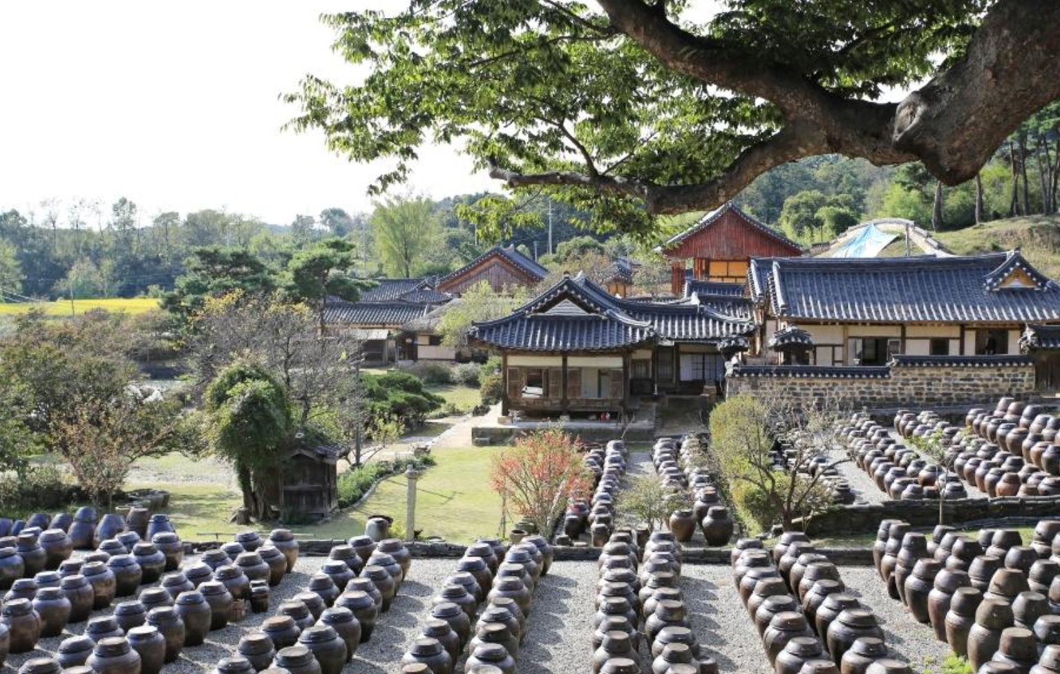 논산명재교택 그림 자료