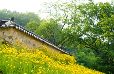 경주에서 유명한 카페나 디저트 맛집