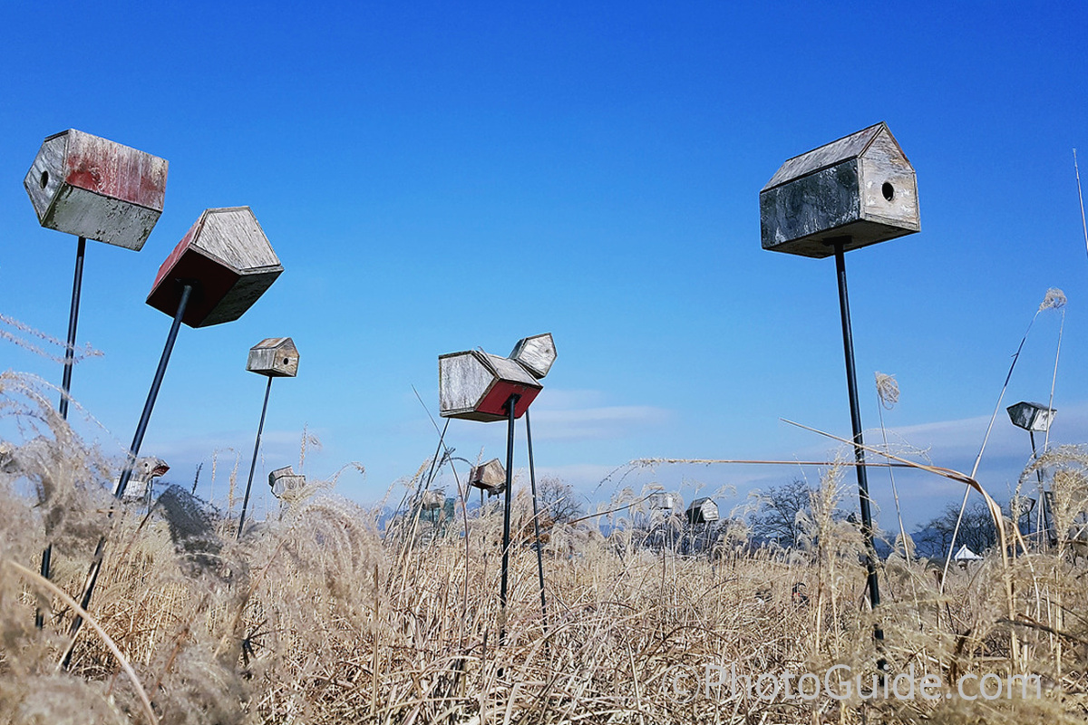 PHOTOGUIDE.COM 새집