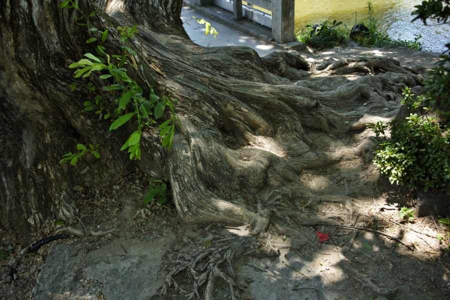 함안 괴항마을 무진정