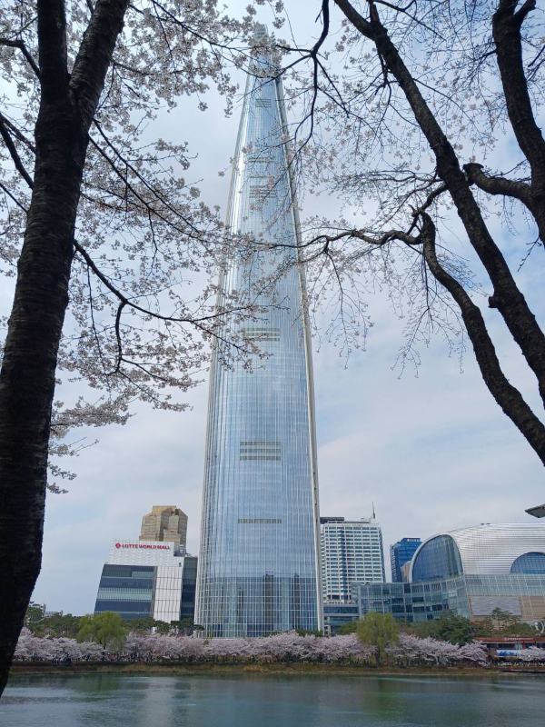 석촌호수 동호에서 바라본 롯데월드타워