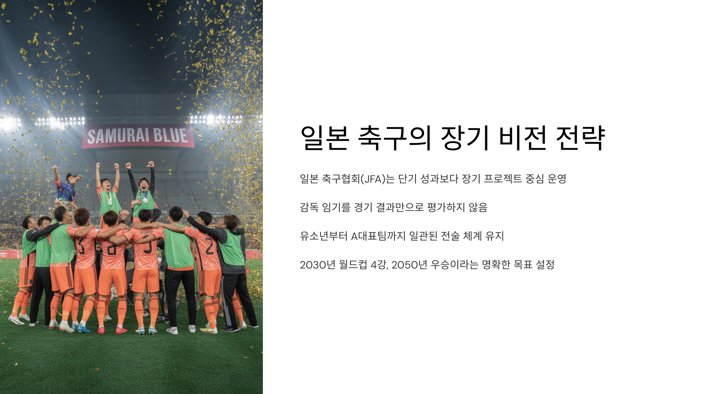 일본축구의 비전