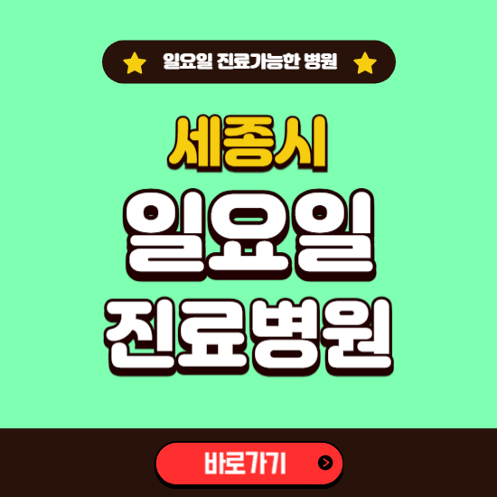 세종시 일요일 진료 가능한 병원 ❘ 주말 문여는 곳 총정리 (소아과, 내과, 안과, 치과, 피부과, 정형외과, 산부인과)