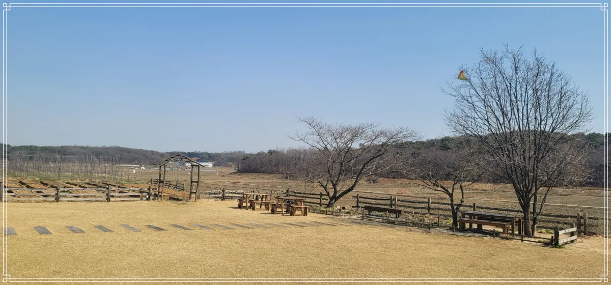 예산-백설농부-추수가-끝나고-빈-논과-밭이-보이고-낙엽이-지고난-감나무-두그루와-나무벤치가-보이는-풍경