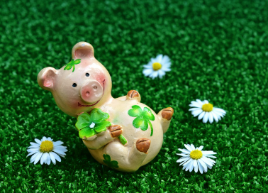 2026년 2월 9일 띠별 오늘의 운세