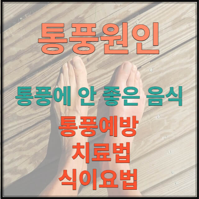 통풍원인