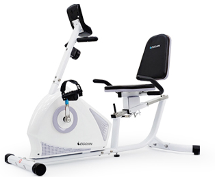 이고진실내자전거제품사진