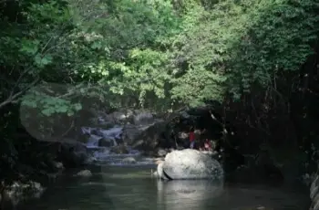 유명산 자연휴양림_7