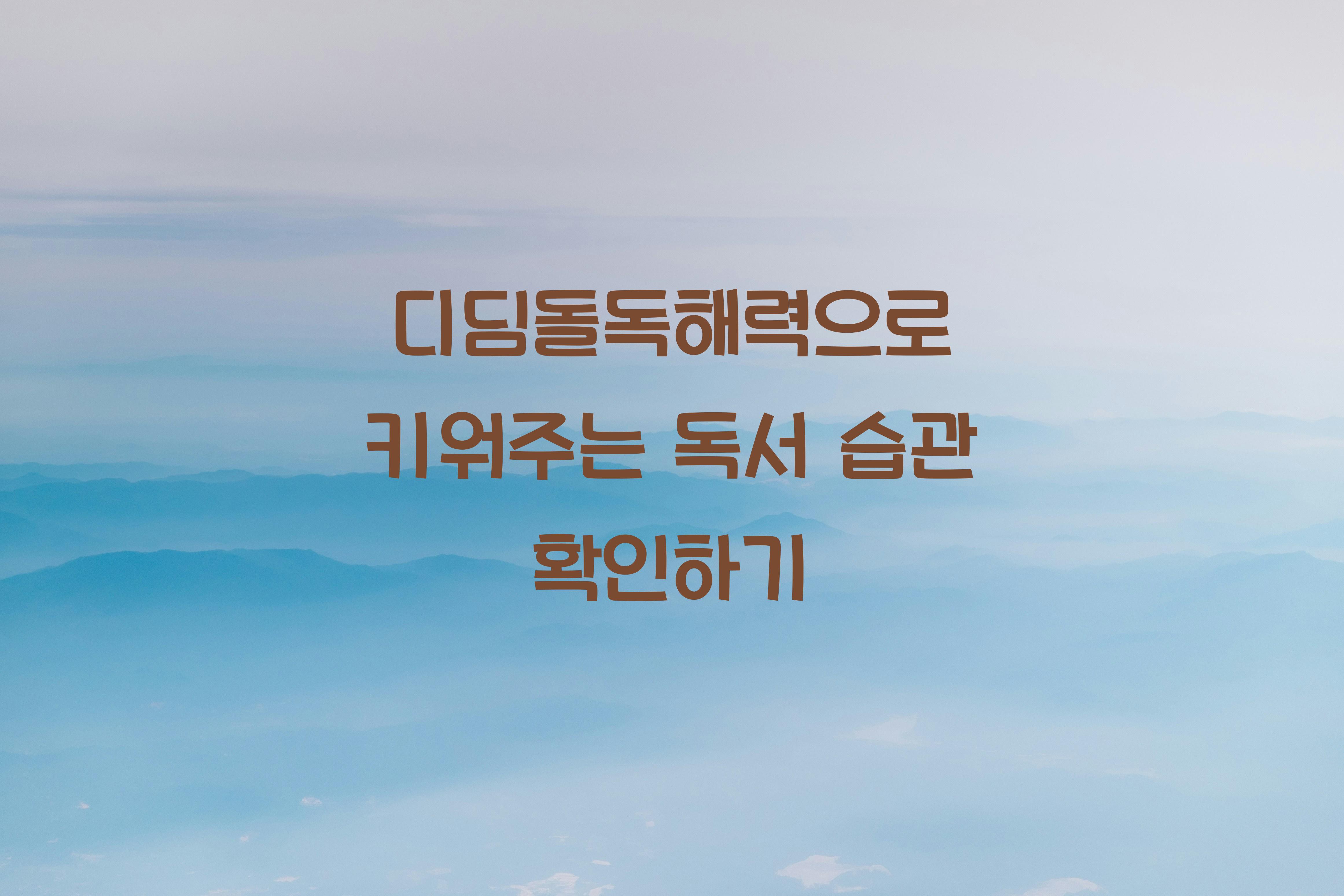 디딤돌독해력