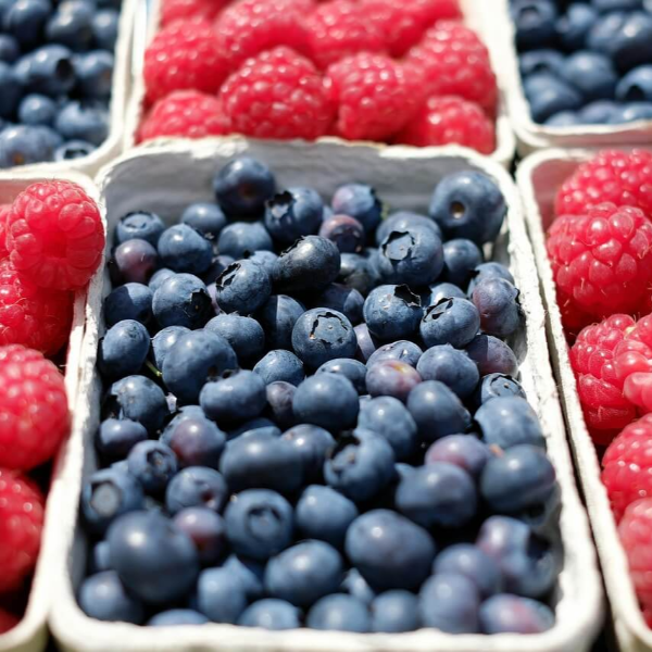 혈액순환에 좋은 음식 사진 21