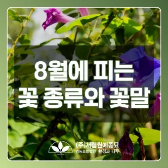 &amp;quot;8월에