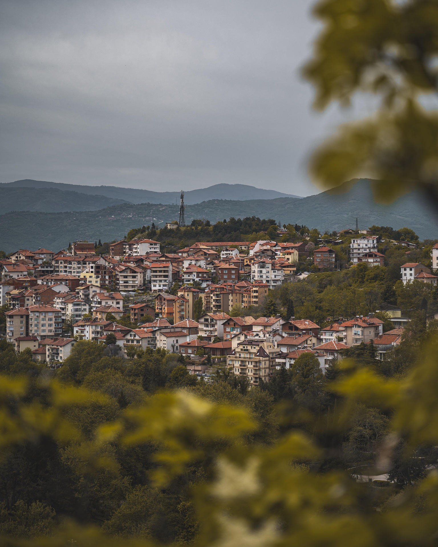 먼 곳과 가까운 곳이 공존하는 풍경