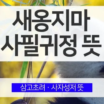 사자성어 모음집 1000개 봄 춘 고사성어_3