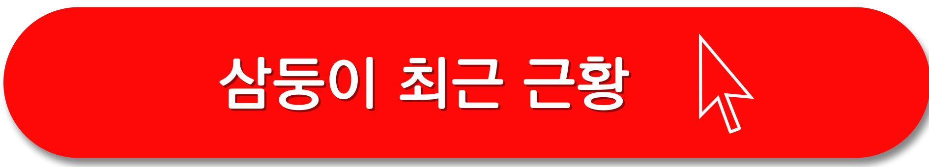 삼둥이-근황