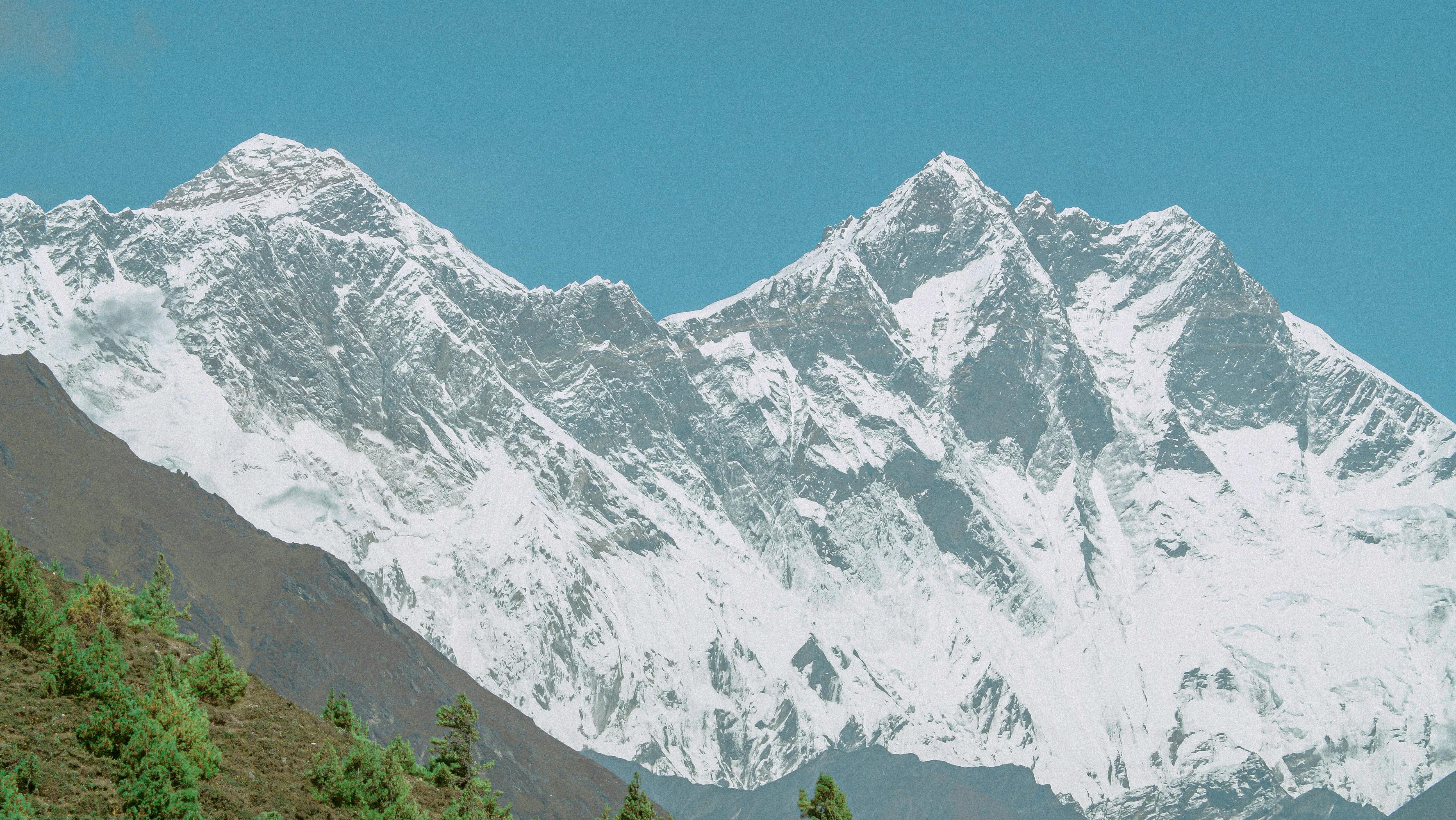 태어난 김에 시즌4