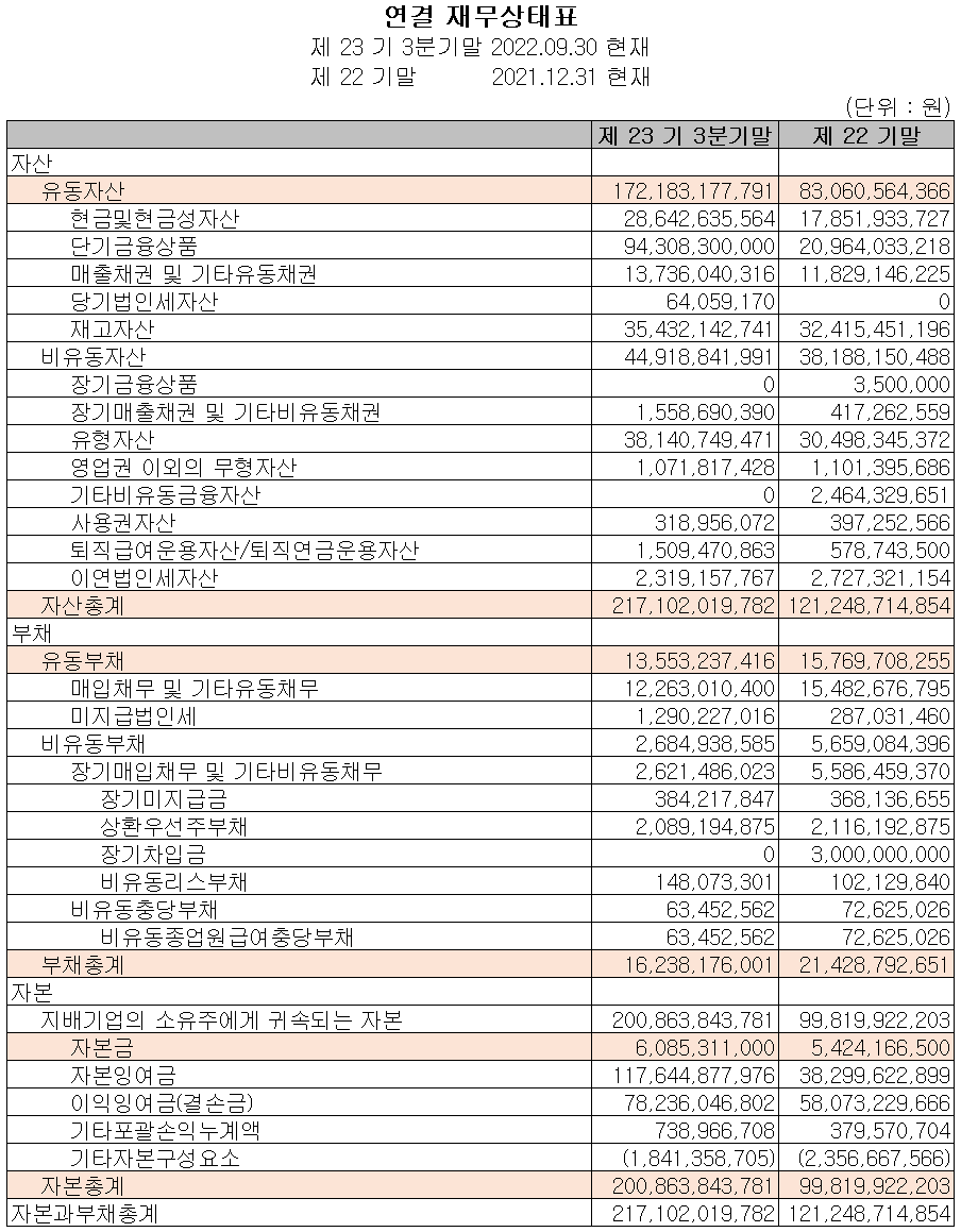 나노신소재 - 재무상태표