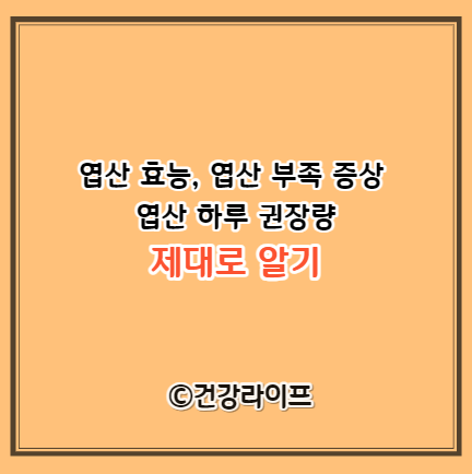 엽산 효능&#44; 엽산 부족 증상&#44; 엽산 하루 권장량