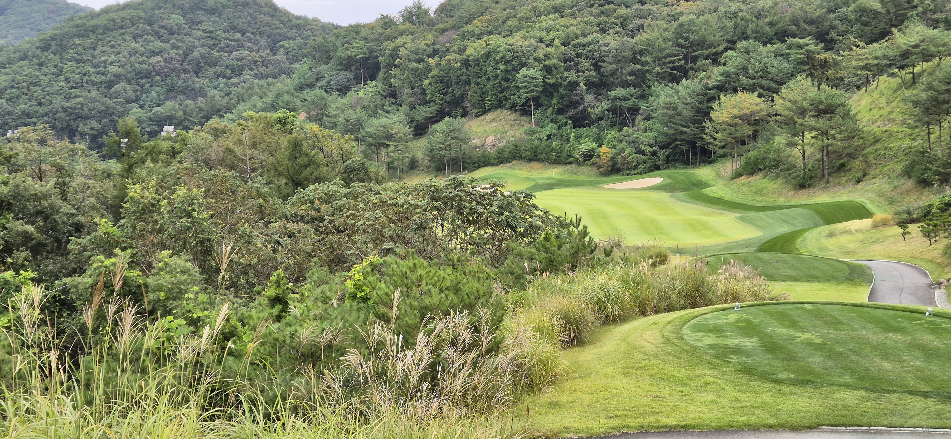 소노펠리체cc이스트