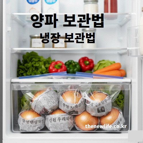 양파 여름철 냉장 보관법 &ndash; 신문지로 감싸 지퍼백에 넣어 야채칸에 보관