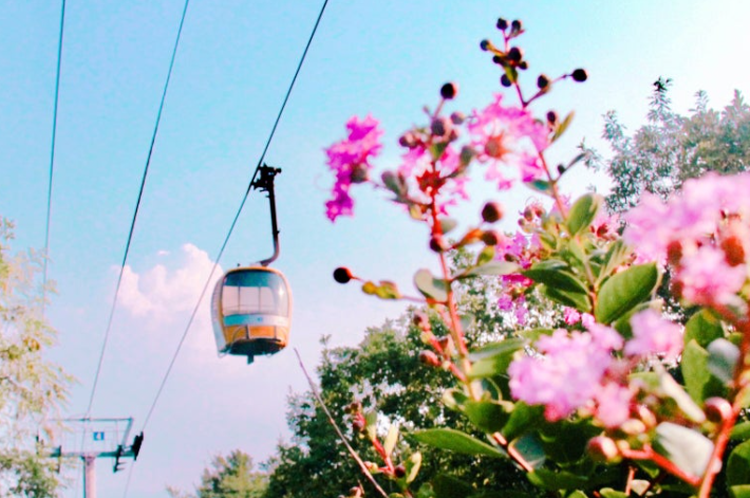 팔공산 케이블카