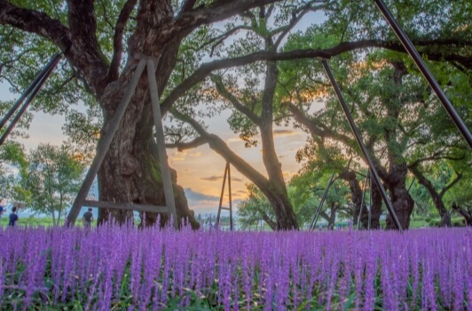 성주 가볼만한곳 베스트 10