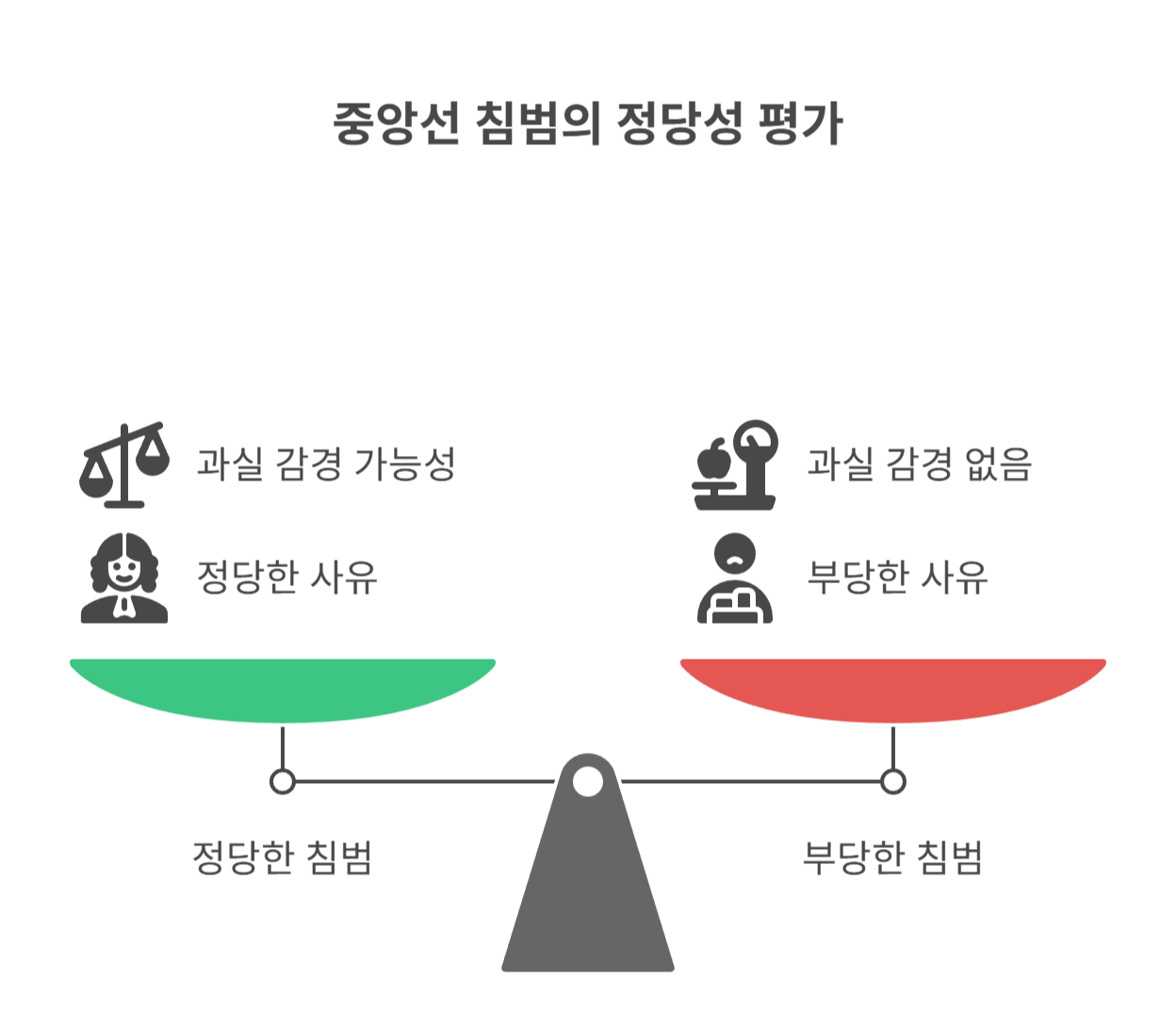 긴급 회피 등 불가피한 중앙선 침범