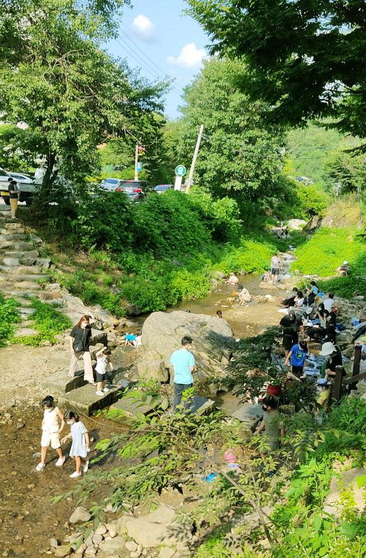 계단위에서본 계곡 모습