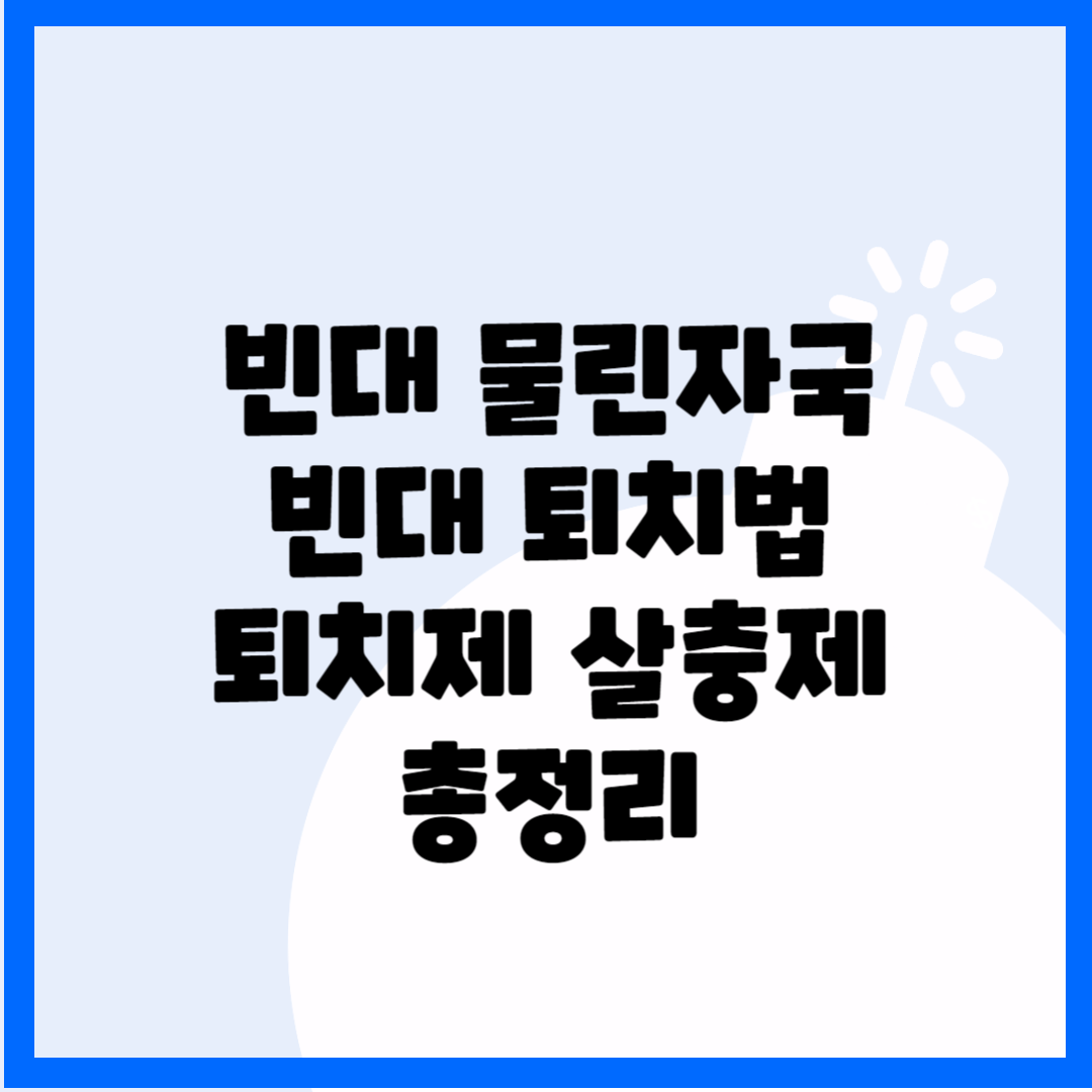 빈대 물린자국 빈대 퇴치법 퇴치제 살충제 총정리 블로그 썸내일 사진