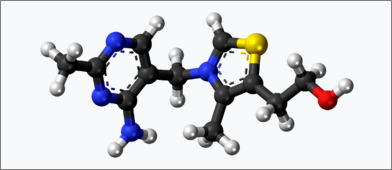 티아민의 분자모형