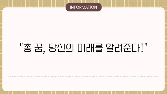 총맞는꿈 총쏘는꿈 총꿈 총에맞는꿈 총맞아죽는꿈 해몽