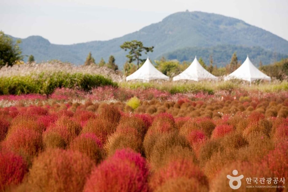 의령 가볼만한곳 베스트 10