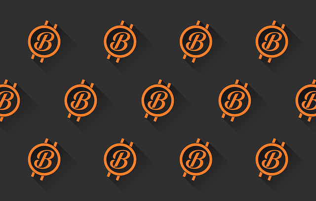 XRP 리플