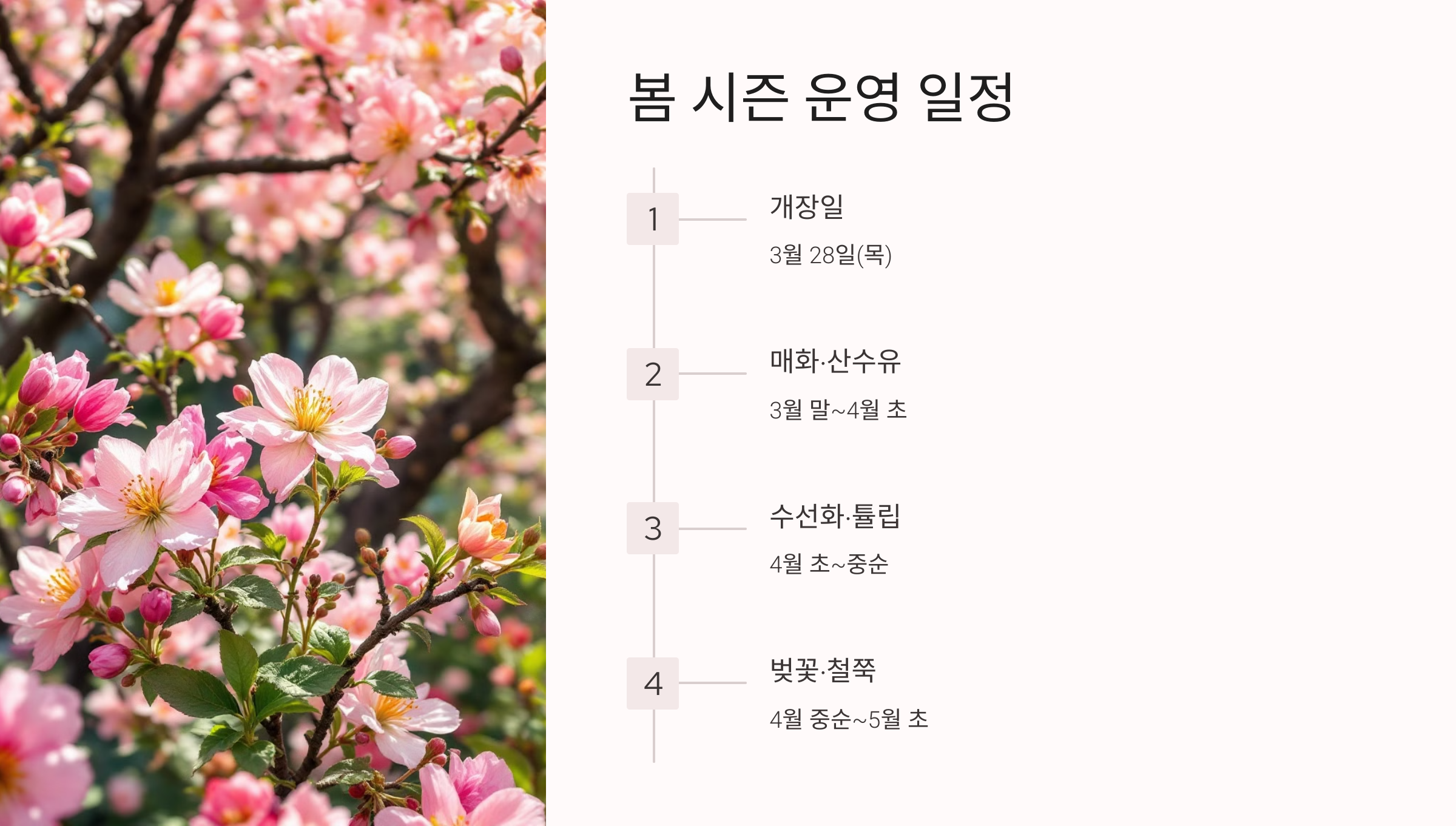 2025 화담숲 봄꽃 절정 시기! 온라인 예매로만 입장 가능!