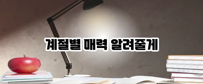 북유럽 여행하기 좋은 계절 완벽 정리