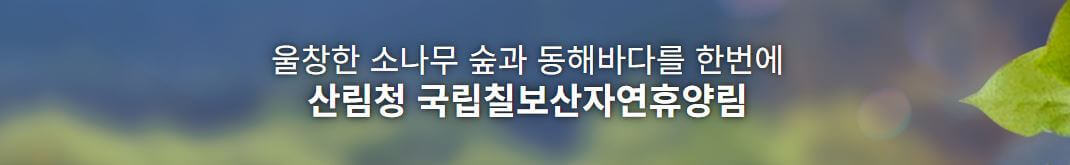칠보산자연휴양림