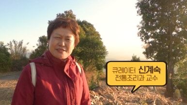 신계숙 교수 경력