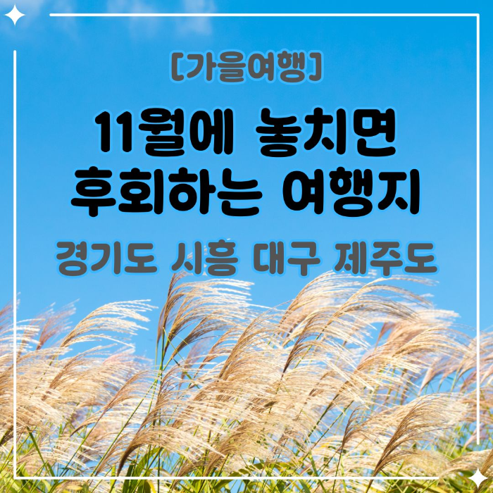 11월에/놓치면/후회하는/여행지
