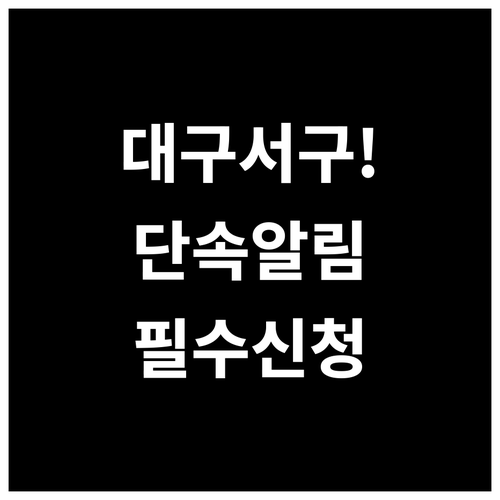 대구 서구 주정차 단속 알림 통합 서..