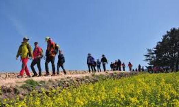 청산도 슬로걷기 축제