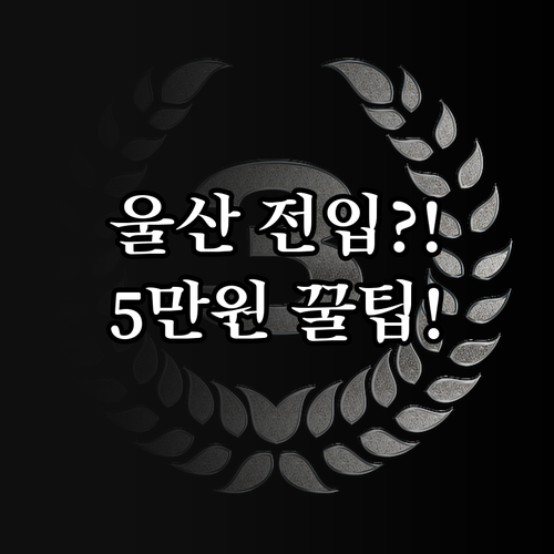 울산 전입세대 환영지원금 2025 총..
