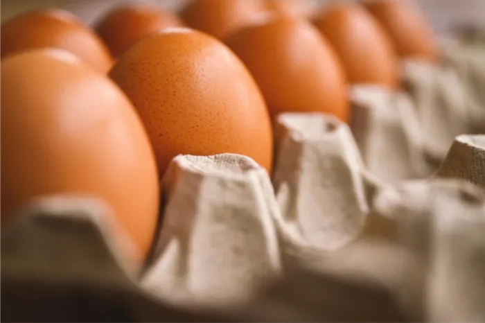 면역력에 좋은 음식