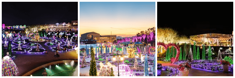 퍼스트가든 빛축제 별빛이 흐르는 정원 사진 3개