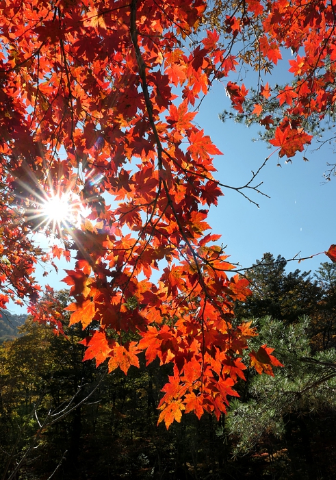 인제-가볼만한곳-베스트-10-06-02
