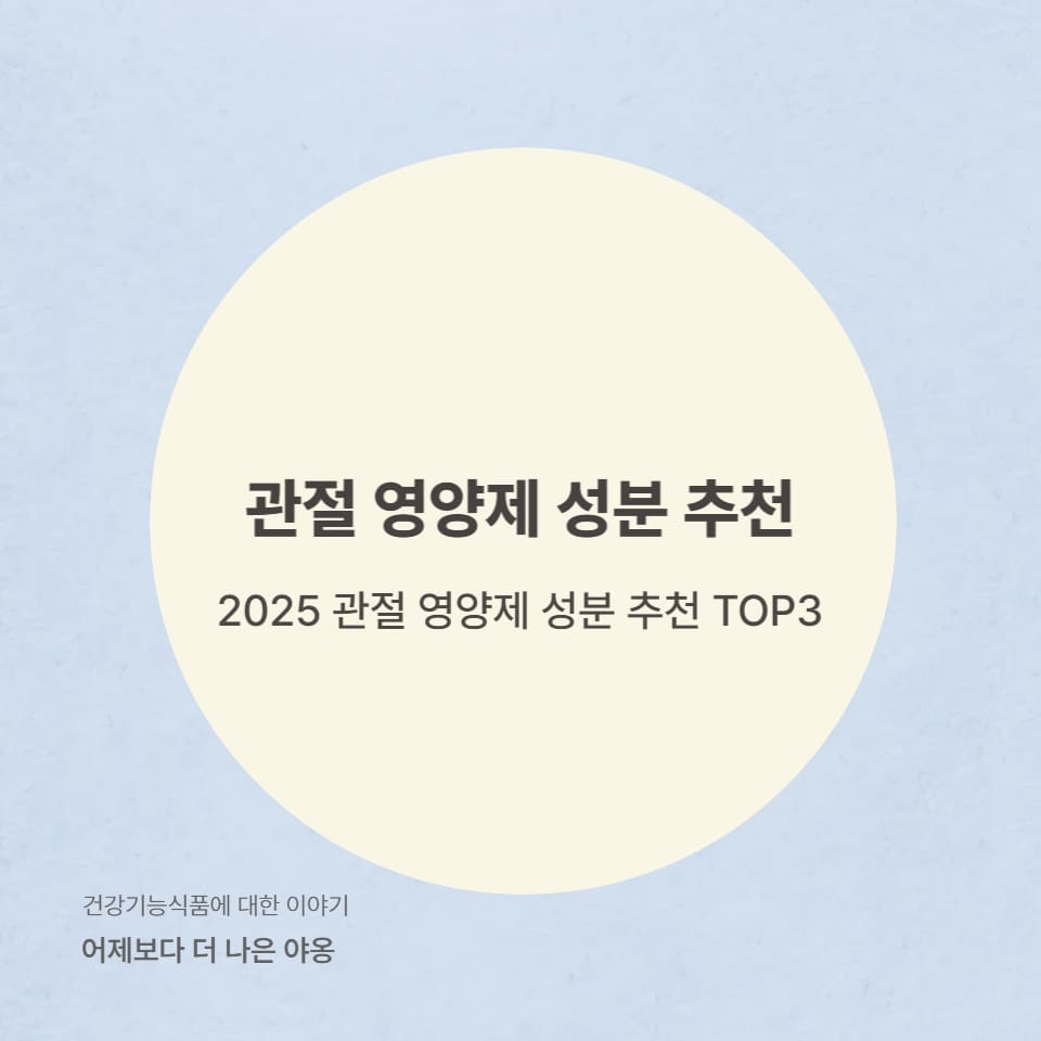 2025 관절 영양제 성분 추천 TOP3 – 핵심 성분 기준으로 고른 제품