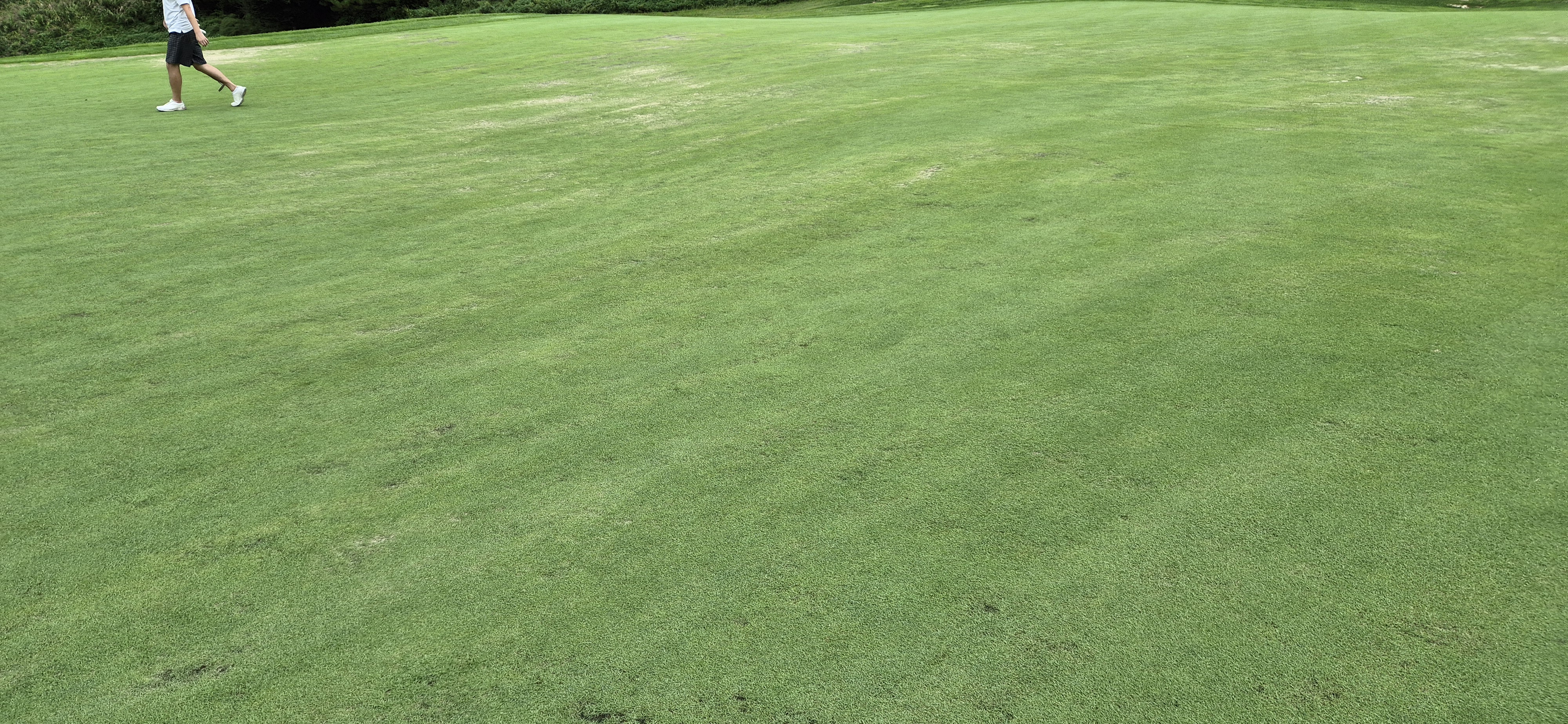 더플레이어스cc