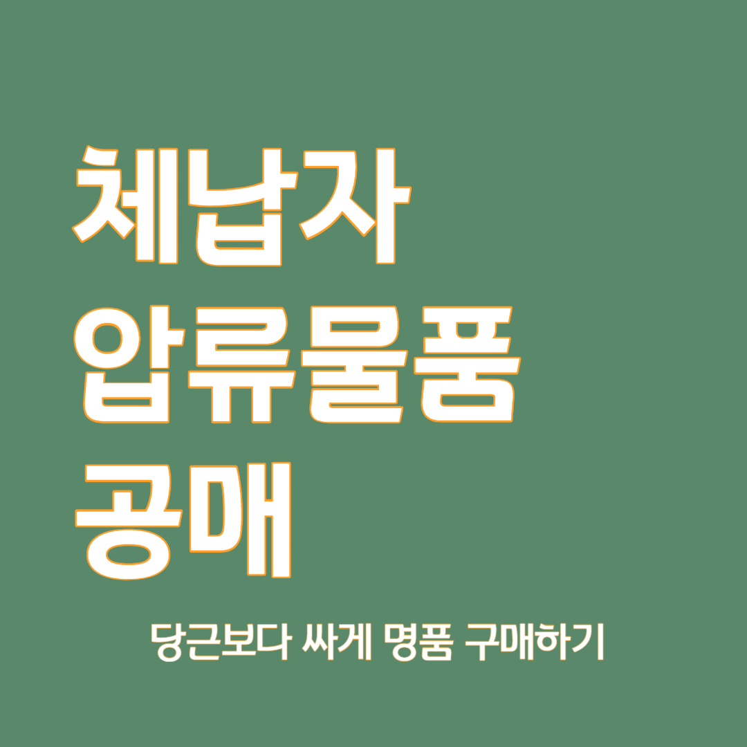 체납자 압류물품 공매