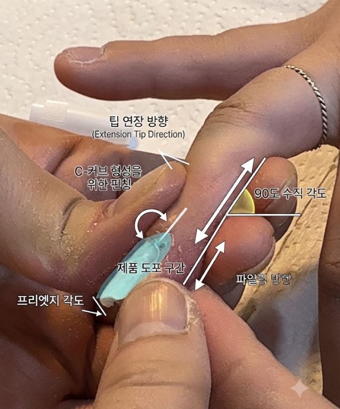 팁 연장 방향과 파일링 방향이 표시된 설명 이미지