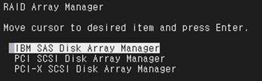IBM SAS Disk Array Manager 선텍