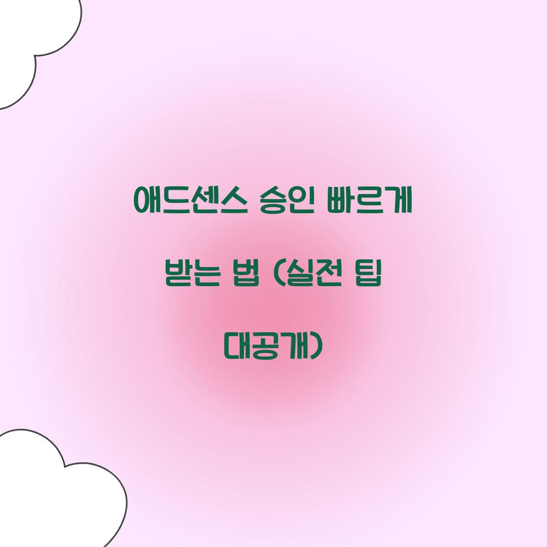 애드센스 승인 빠르게 받는 법