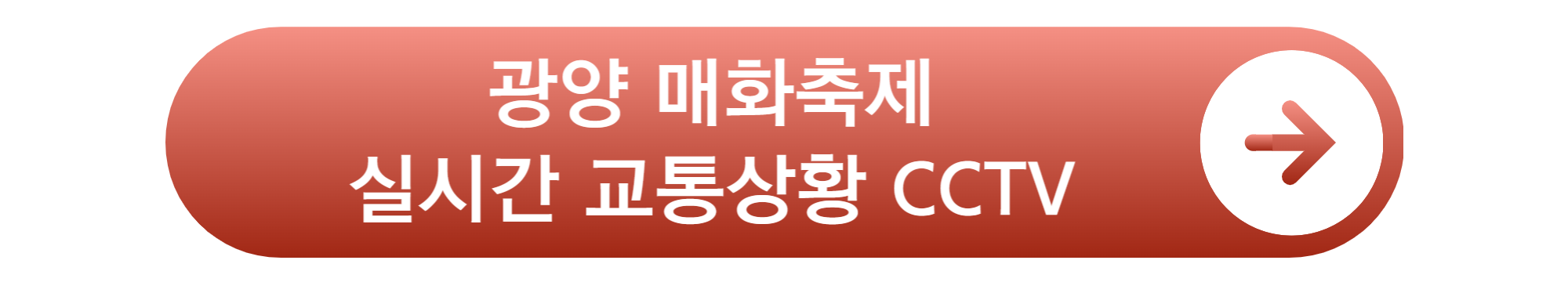 광양 매화축제